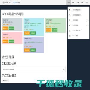 CS2饰品